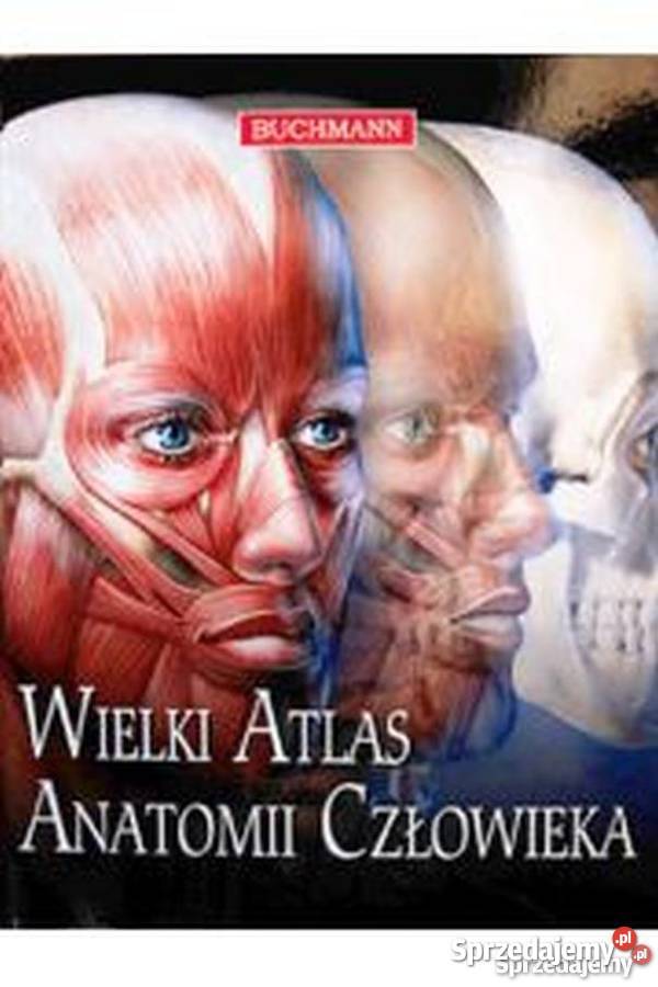 Wielki Atlas Anatomii Człowieka Beverly Mcmillan Świdnica