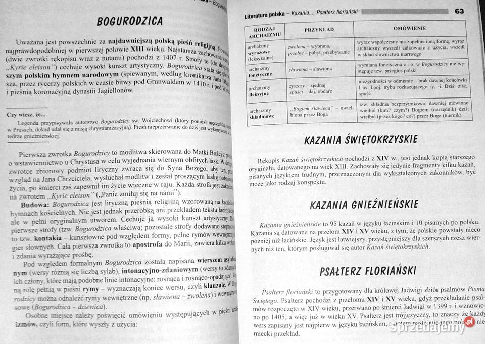 Vademecum Język polski Liceum technikum Wojciech Chełm sprzedam