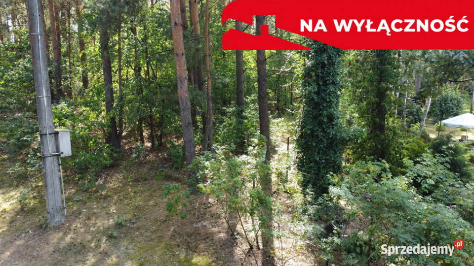 Działka letniskowa 800 m2 w Woli Chodkowskiej rekreacyjna