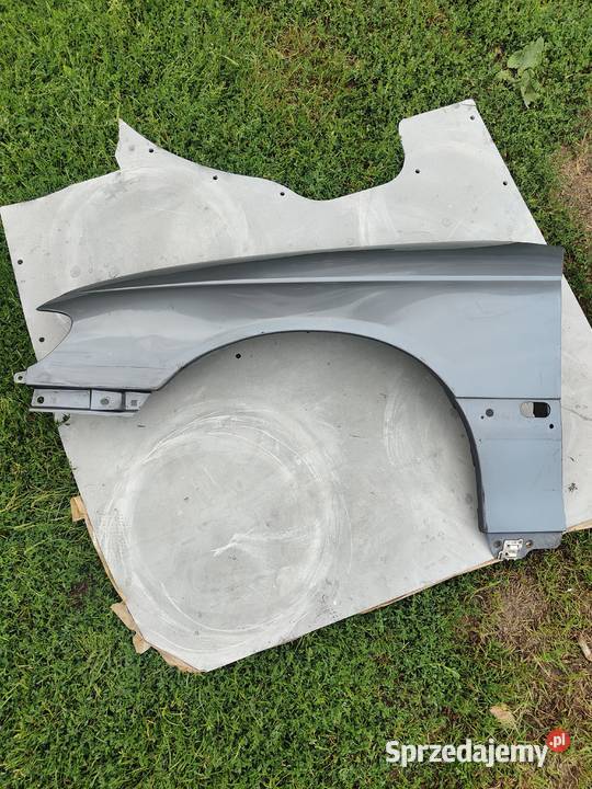 Błotnik lewy omega Woźniki-Kolonia