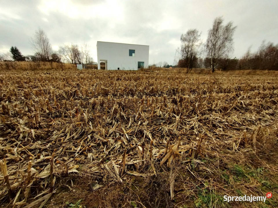 Sprzedaż działki 1600m2 PłouszowiceKolonia lubelskie Płouszowice-Kolonia sprzedam