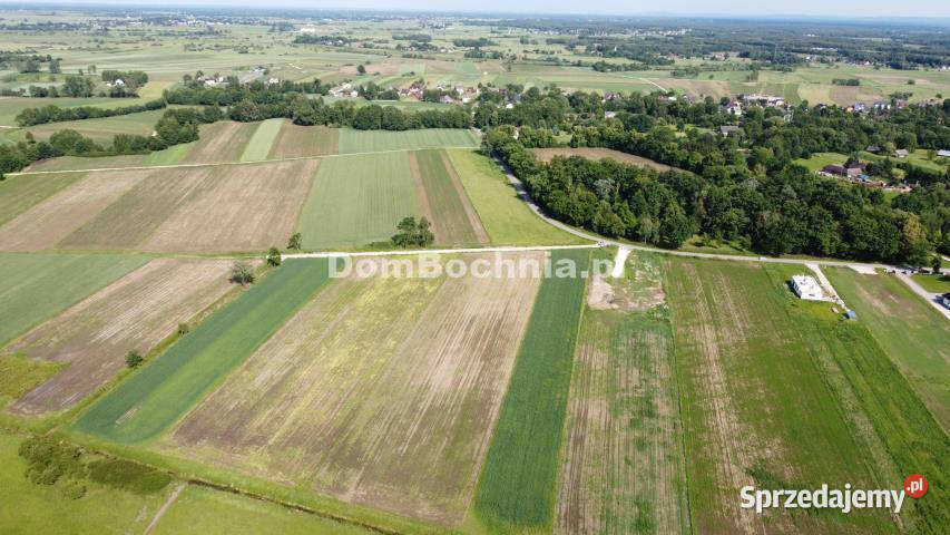 Działka Strzelce Wielkie 3188m2