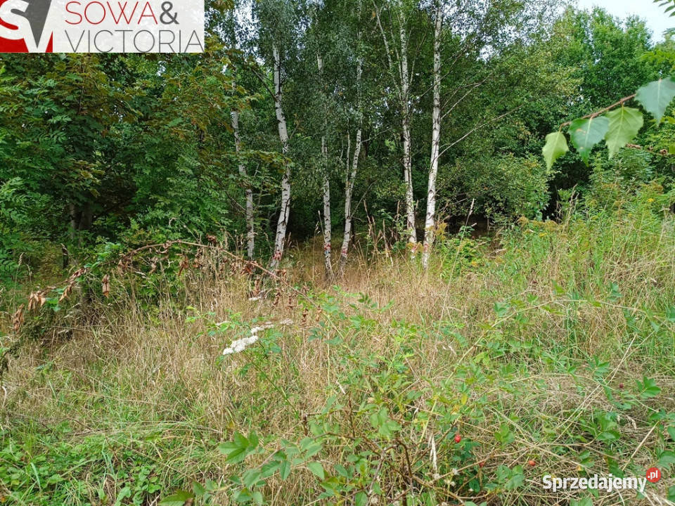 Działki w pobliżu Szczawna Zdroju dolnośląskie Struga sprzedam