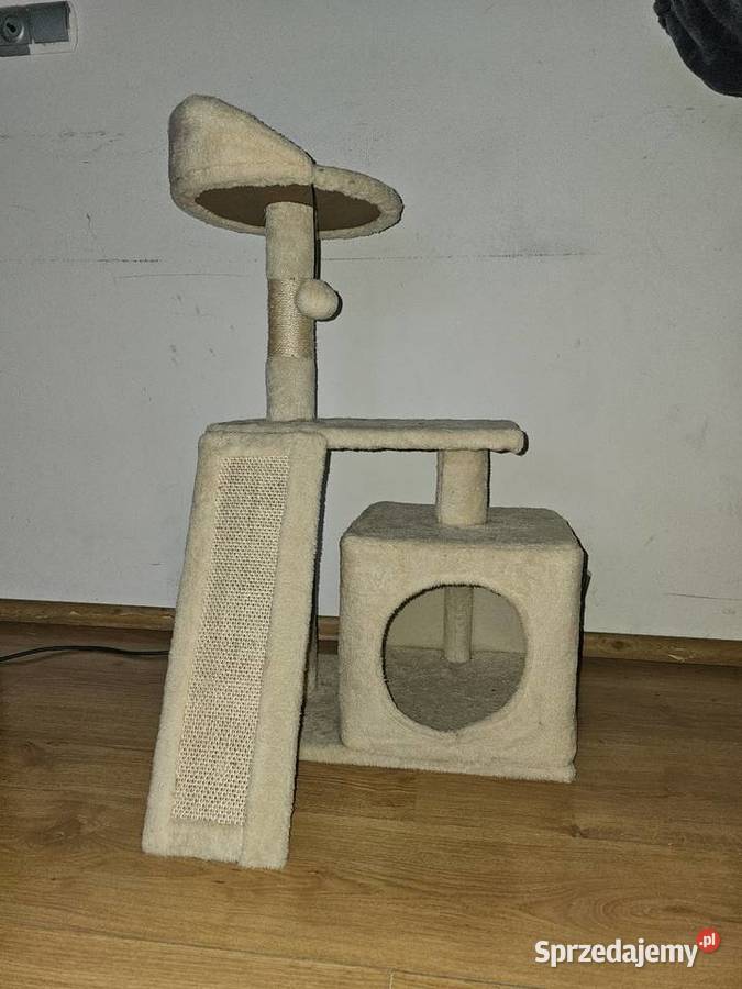 Drapaklegowisko kota Poznań