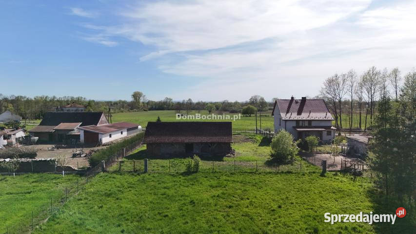 Grunt 13200m2 Dębina 30zł/m2