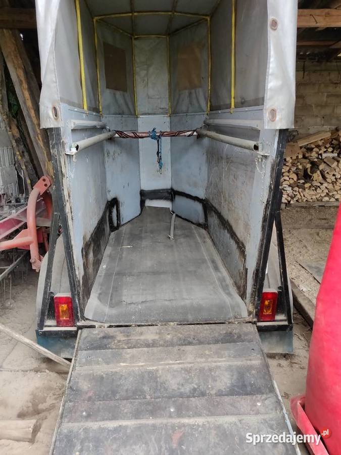 Przyczepa na jednego konia Łopuszno sprzedam