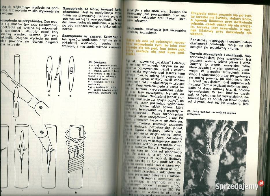 Kwiaciarstwo Podręcznik techników ogrodnictwo Łódź sprzedam