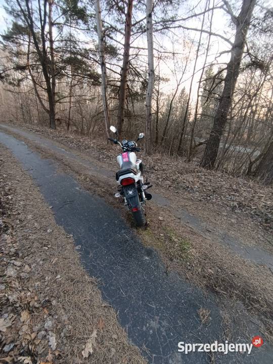 Romet Zetak 5074 2014 Łukawiec