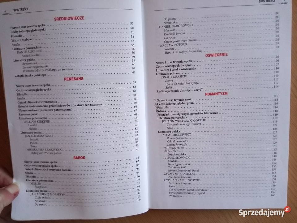 Repetytorium maturzysty język POLSKI GREG Dąbrowa Górnicza sprzedam