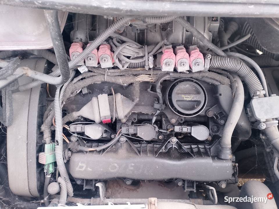 Części Koła 5 x 98 Fiat Lancia phedra Czeladź sprzedam