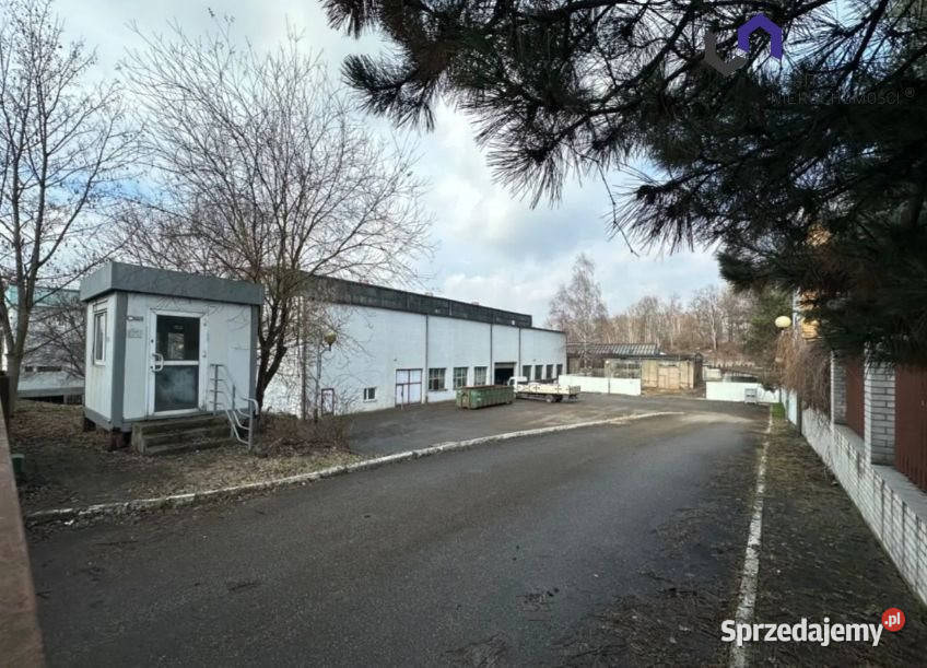Lokal 1000m2 Katowice