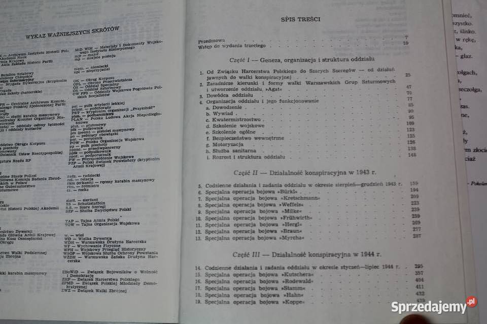 Parasol Piotr Stachiewicz Bądkowo