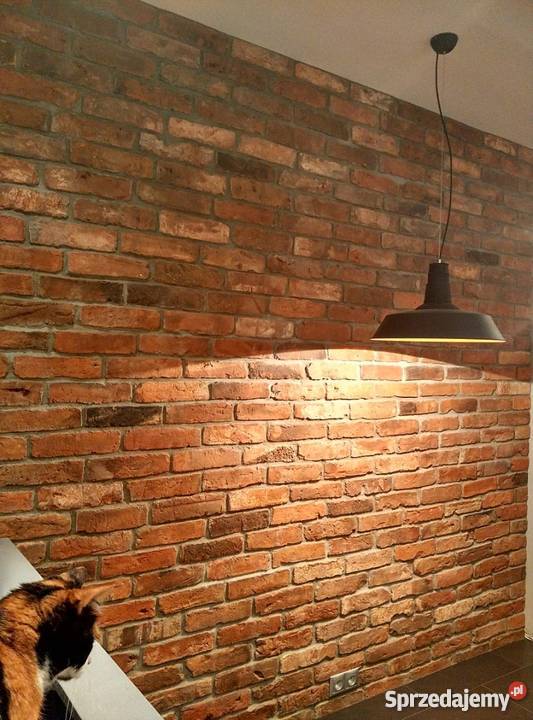 Cegła rozbiórkowa ściana z cegły płytki narożne Słupno