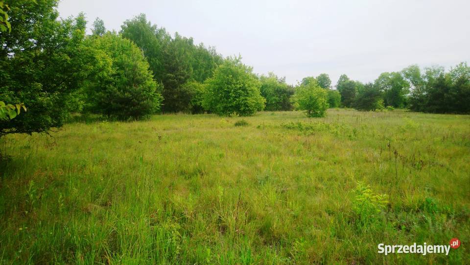 Sprzedam działkę budowlaną o pow 1093 m2 z Popielżyn-Zawady sprzedam