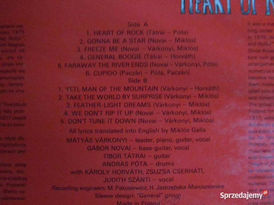 Płyty winylzestaw 4 1 płyta rock Płyty i kasety Lublin