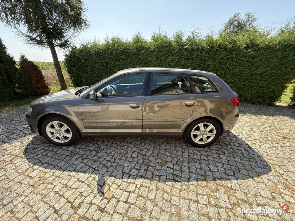 Audi A3 Sportback 16 TDI 2013 207 000 relingi dachowe