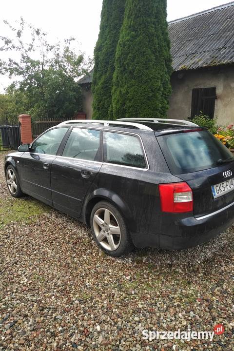 audi a4 2003 Bączek