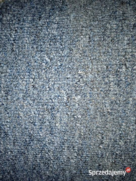 Szwajcarska wykładzina dywanowa szer 5m Miejsce Piastowe