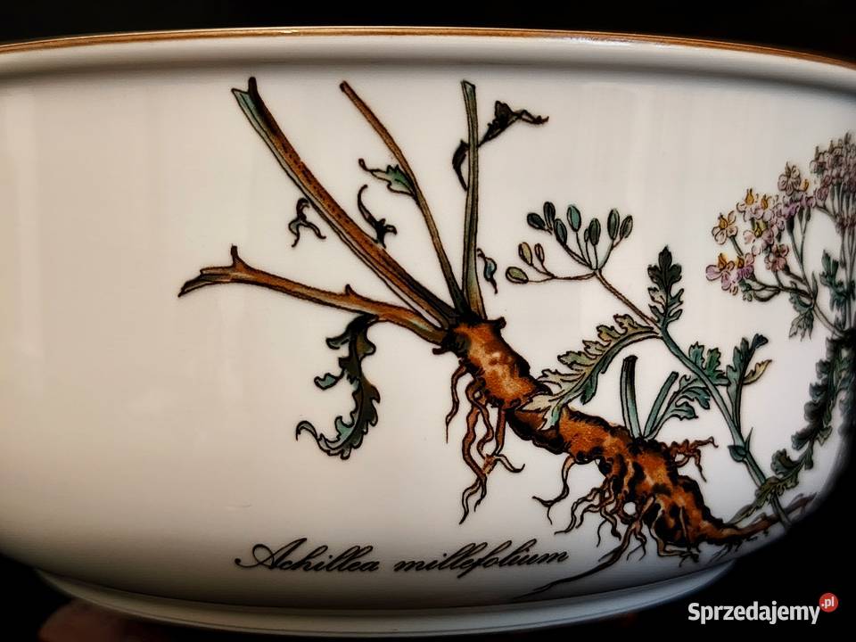 Miska głęboka Villeroy Boch Botanica lubelskie Chełm