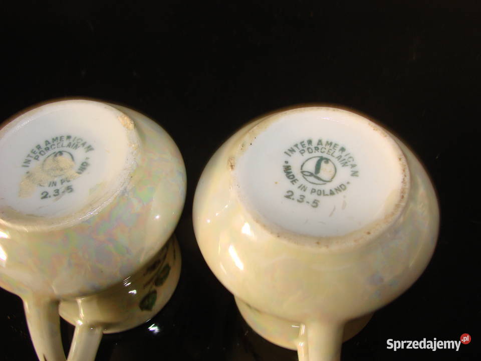 Lubiana Inter American mały mlecznik Pruszcz Gdański