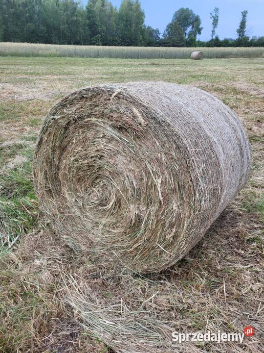Siano z pierwszego pokosu 120x120 Rolnictwo śląskie