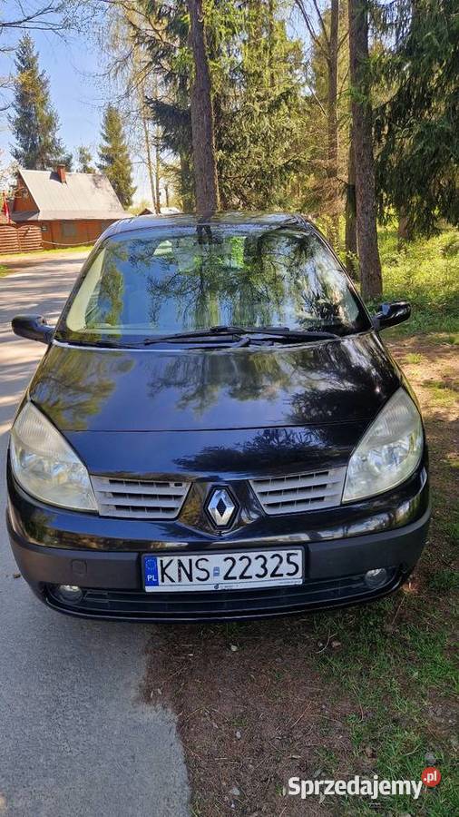 Renault Scenic 2 Scenic małopolskie Nowy Sącz