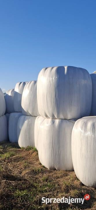 siano sianokiszonka Trawy, słoma mazowieckie Ciechanów