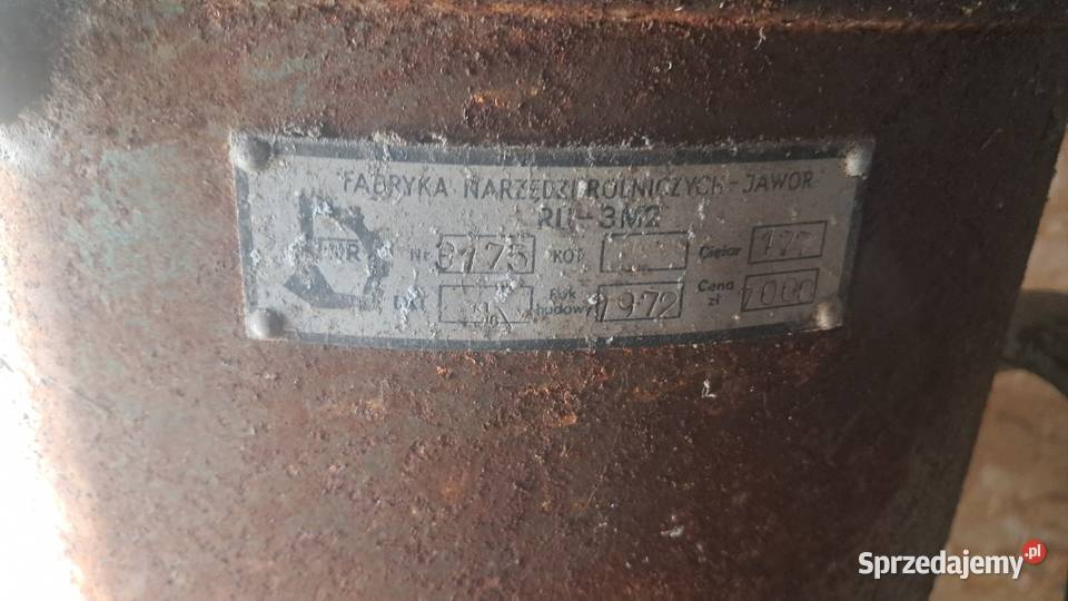 Śrutownik bąk nieuszkodzony Paczkowo
