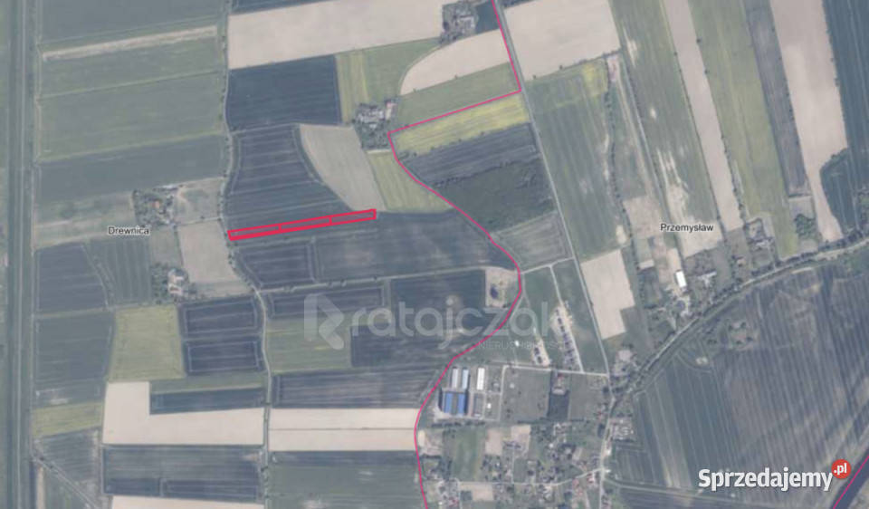 Grunt Drewnica Wierzbowa 3012m2 3012m2 sprzedam