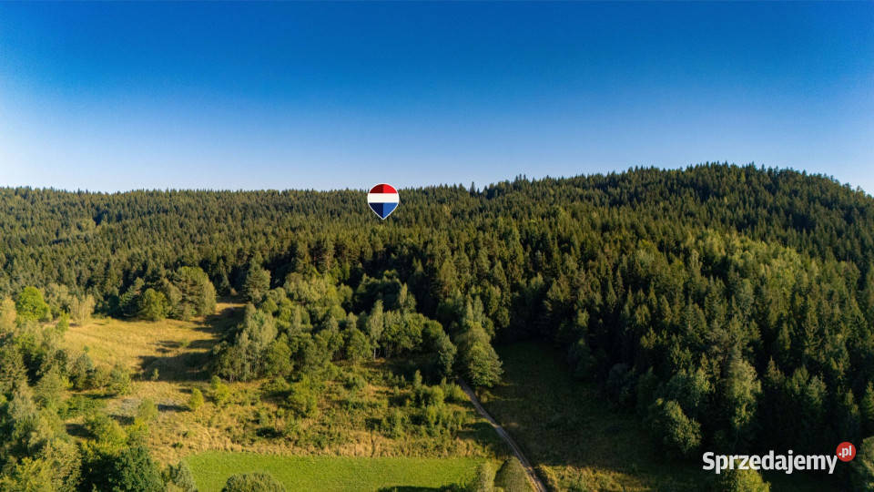 Działka leśna 20 700 m Kasina Wielka małopolskie
