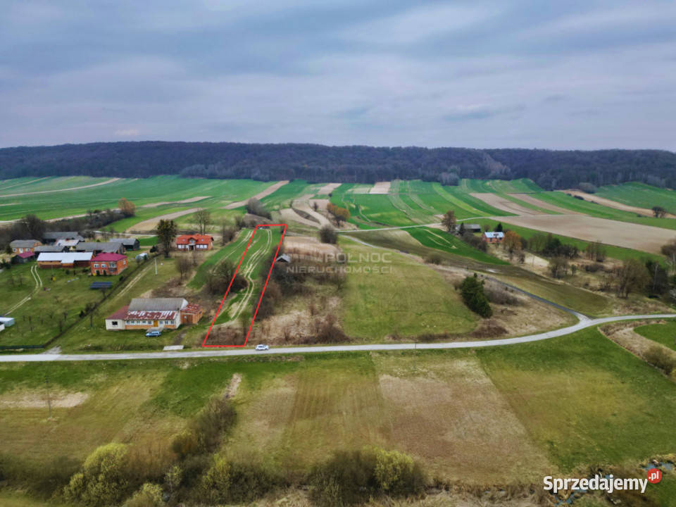 Działka w Zabytowie gmina Skierbieszów 3899m2 Nieruchomości Zabytów sprzedam