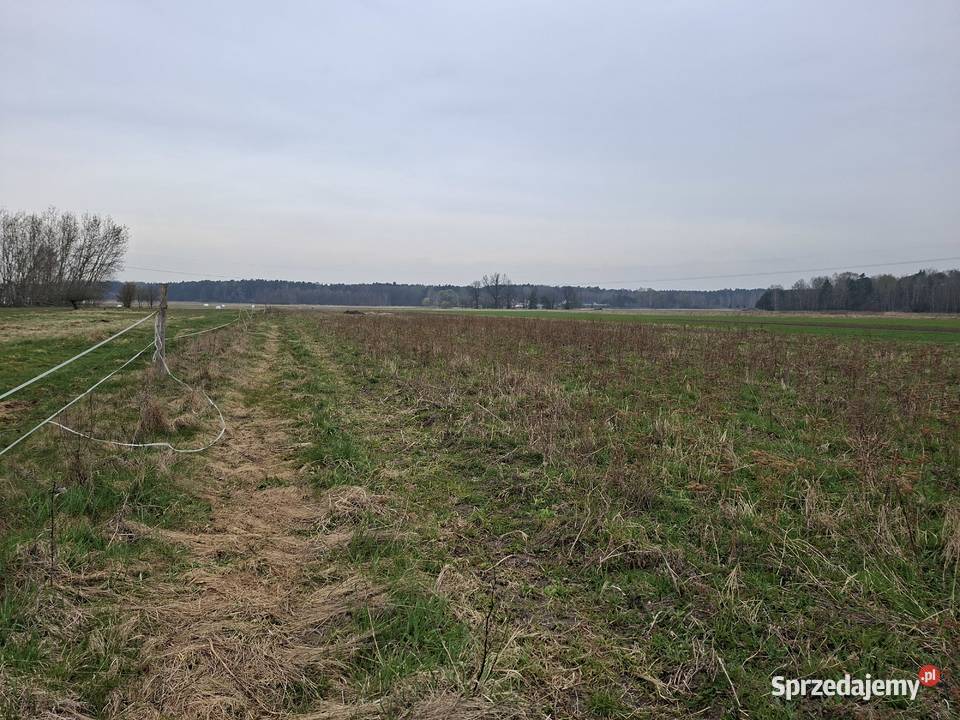 Działki budowlane 110zł/m2 świętokrzyskie Włoszczowa