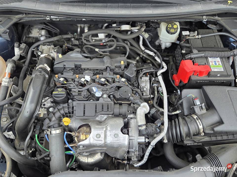 FORD KUGQ 2020 Starachowice