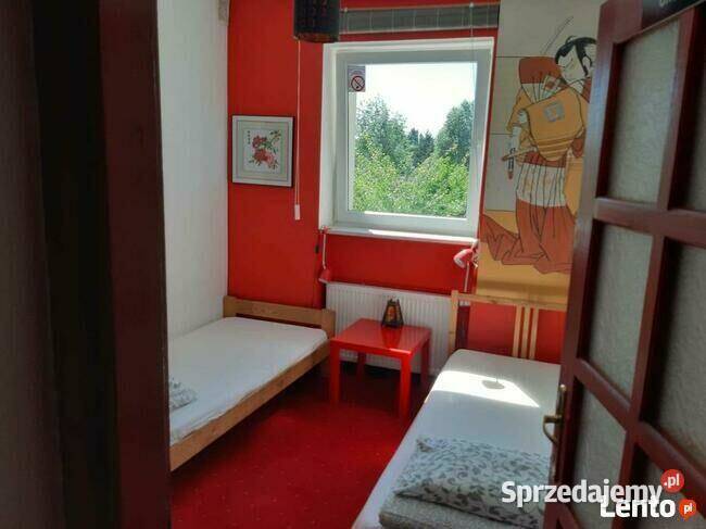 Pokoje do wynajęcia bezpośrednio Francuska piwnica Warszawa