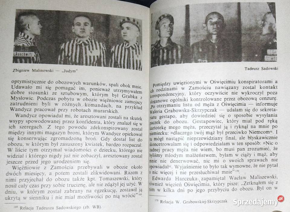 Afera Wismana Wojciech Białasiewicz Chełm