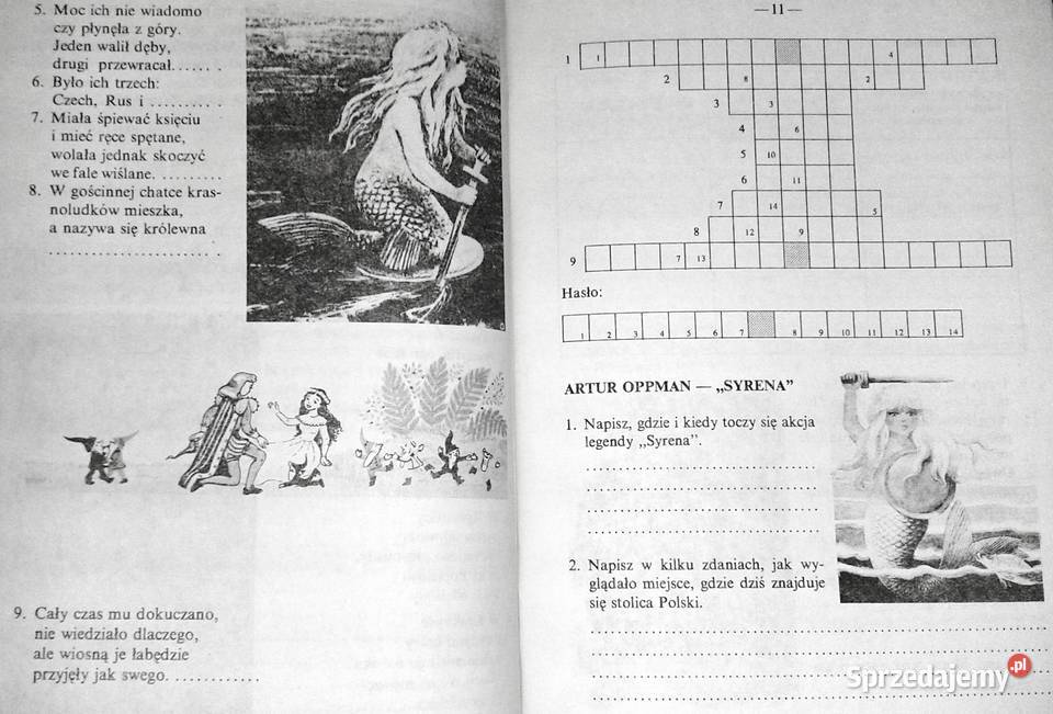 Język polski Zeszyt ćwiczeń kl 5 cz 2 Urszula Pozostałe