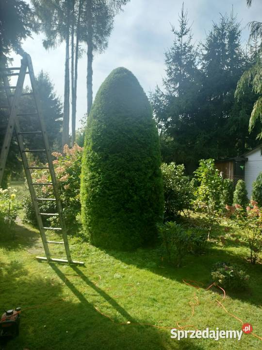 Odśnieżanie Koszenie trawników