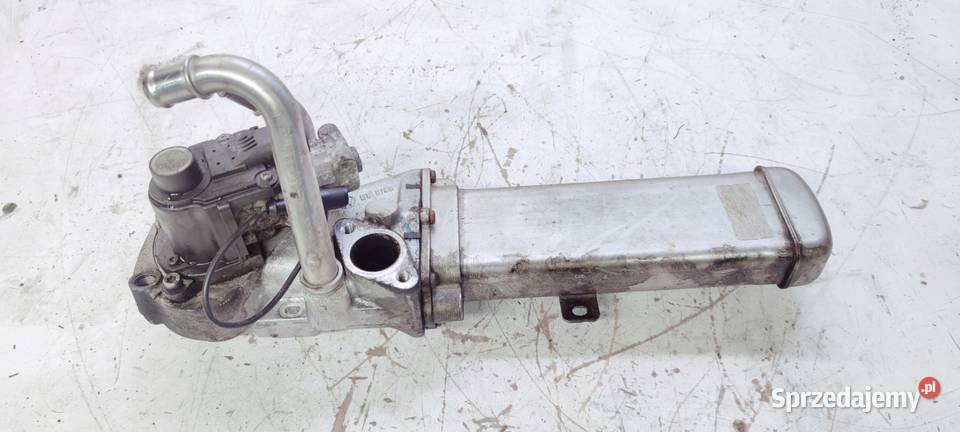 CHŁODNICA SPALIN EGR AUDI VW 20 TDI 03L131512AF osobowe śląskie Przystajń sprzedam