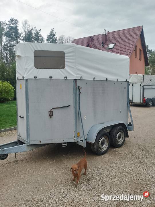 Przyczepa do przewozu koni Żerdzina
