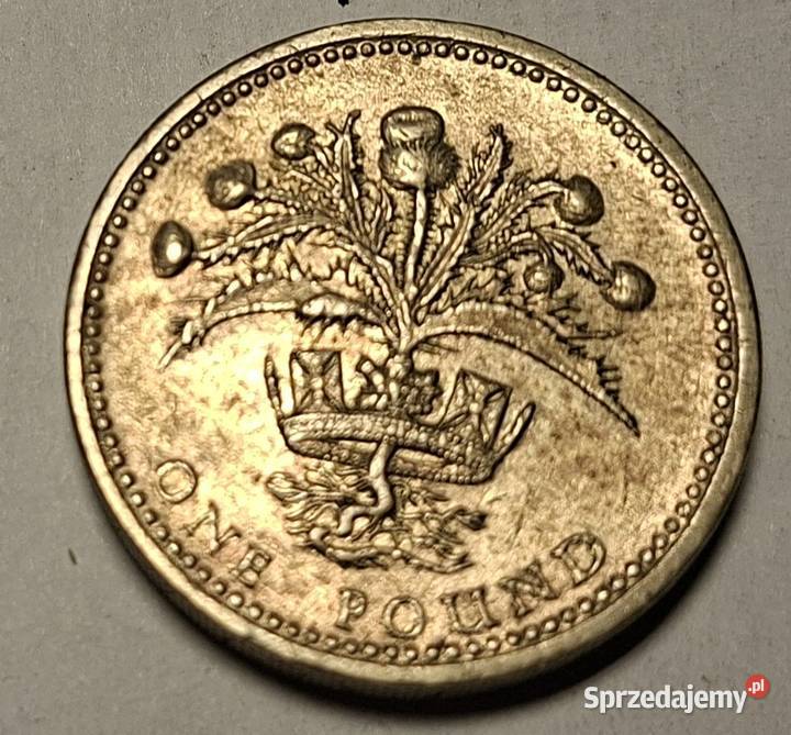 Monety funt brytyjski 1 Kraków