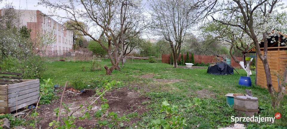 Działka ROD Targowa Malbork sprzedam