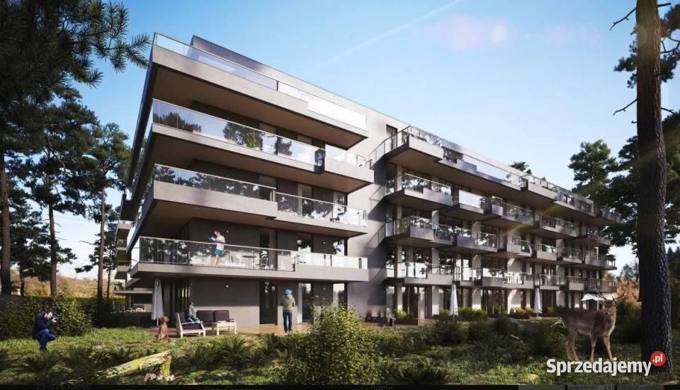 sprzedaży mieszkania 8945m2 4 pokojowe Kielce Sprzedaż