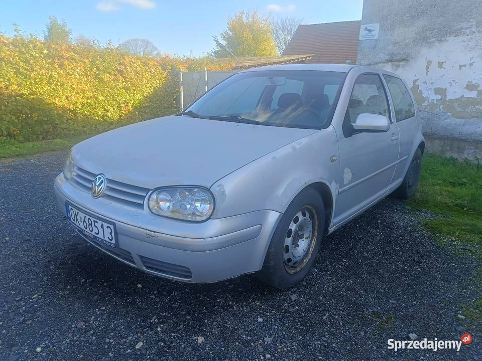 Volkswagen Golf 19 TDI 110 Bierawa