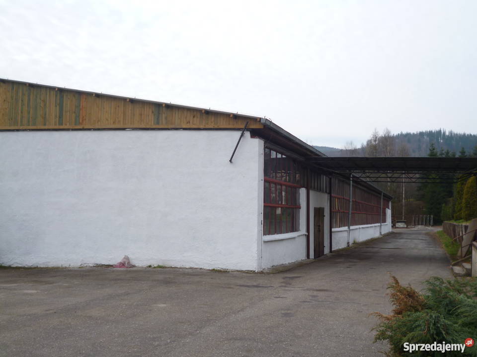Zakład hale produkcyjnemagazynowe Szczytna