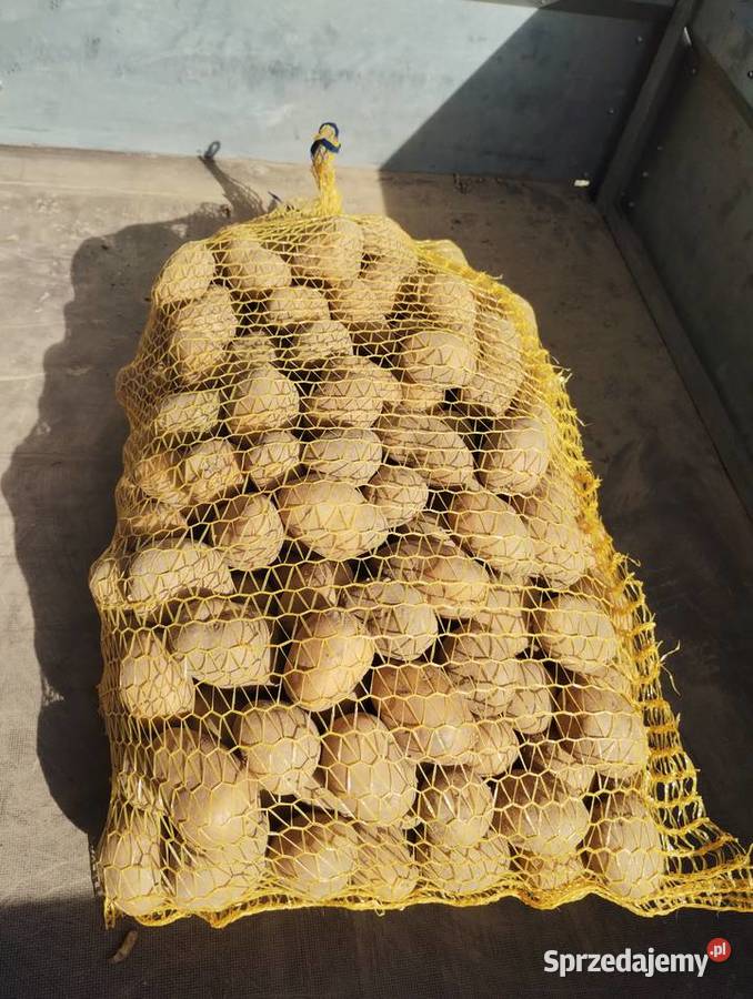 Ziemniaki jadalne Soraya żółte worek 15 20 zl małopolskie Ciężkowice sprzedam