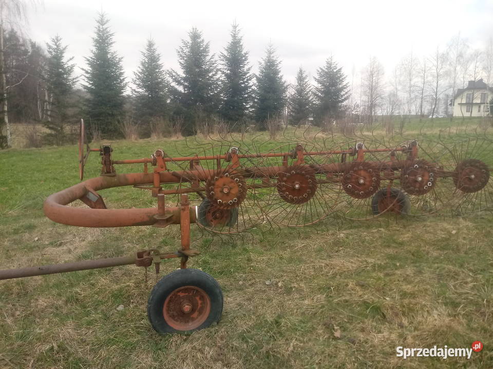 Przewracarka pięcio gwiazdowa Rajbrot