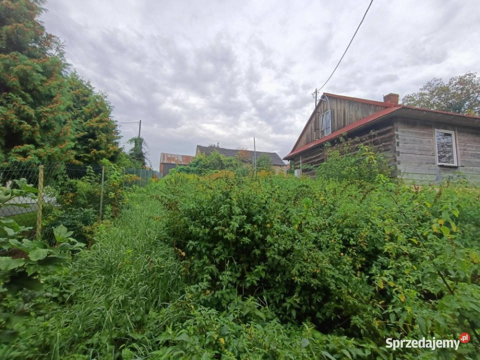 Nieruchomość gruntowa z zabudową Wierzchowiska 123000m2 lubelskie Wierzchowiska Pierwsze sprzedam