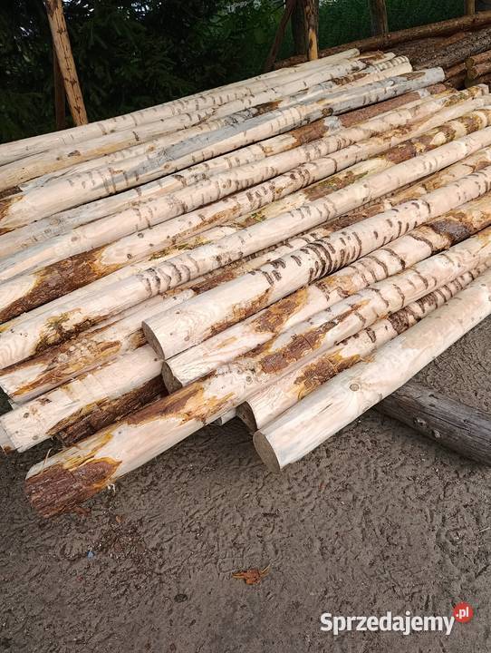 Słupki korowane podkarpackie Kolbuszowa