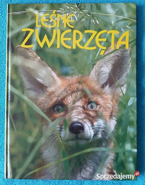 Leśne zwierzęta Twarda okładka Bytom