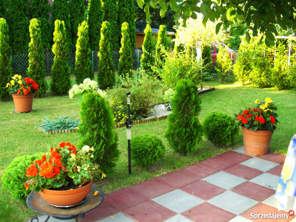 sprzedam działkę ROD Wolica 300m2 Wolica